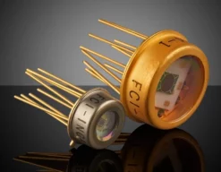 Segmented InGaAs Photodiodes
