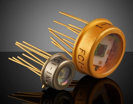 Segmented InGaAs Photodiodes 1 Segmented InGaAs Photodiodes